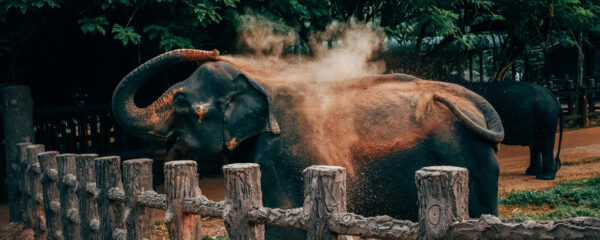 parc animalier à Clermont Ferrand